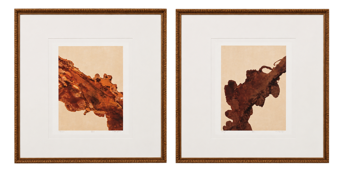 Mirage & Rêverie by Bruno Bijaksic - Set of 2