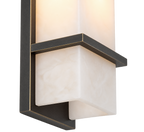 Aster Wall Light