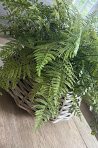 Lush Ferns in a Rustic Wicker Basket