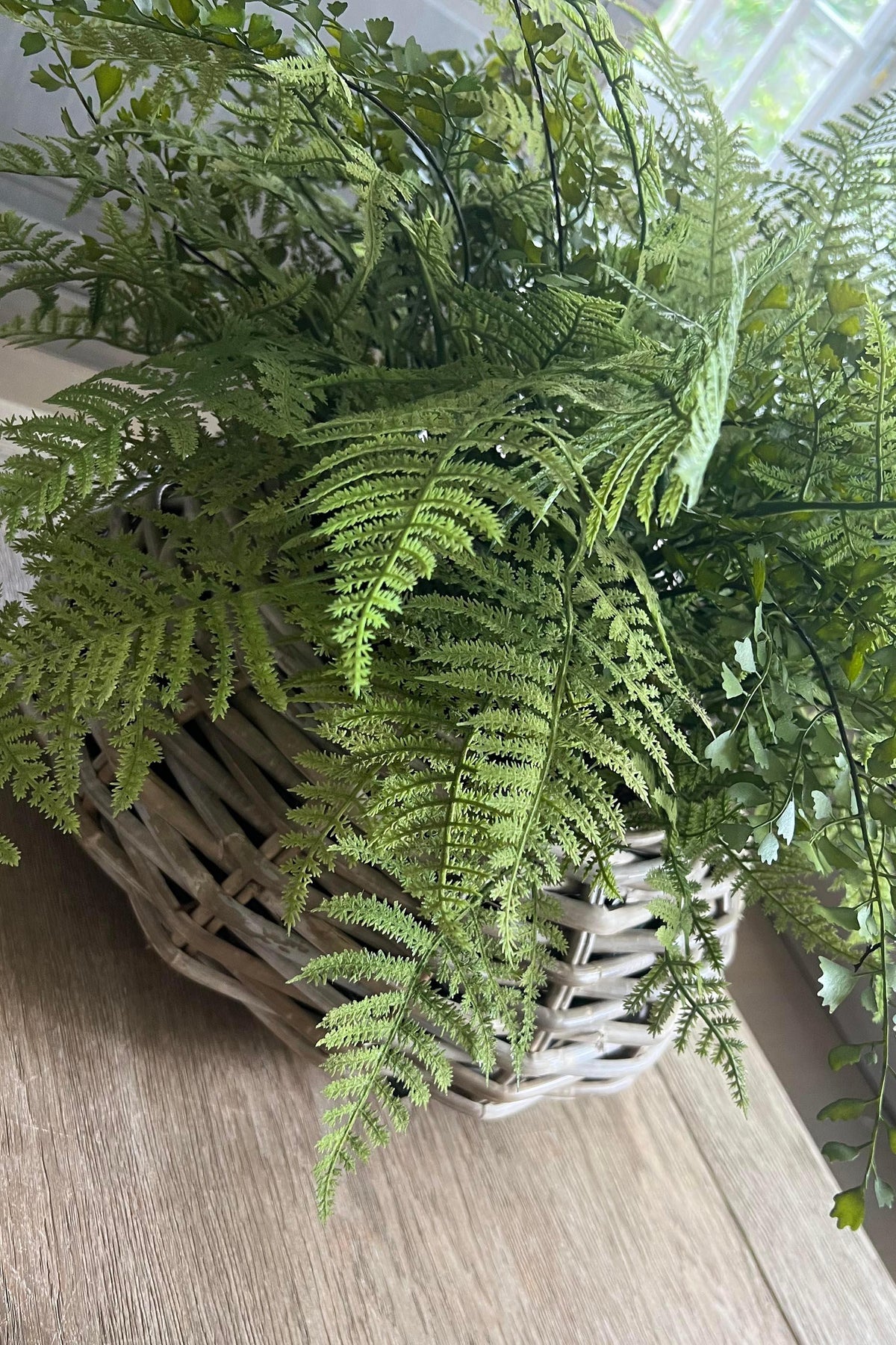 Lush Ferns in a Rustic Wicker Basket