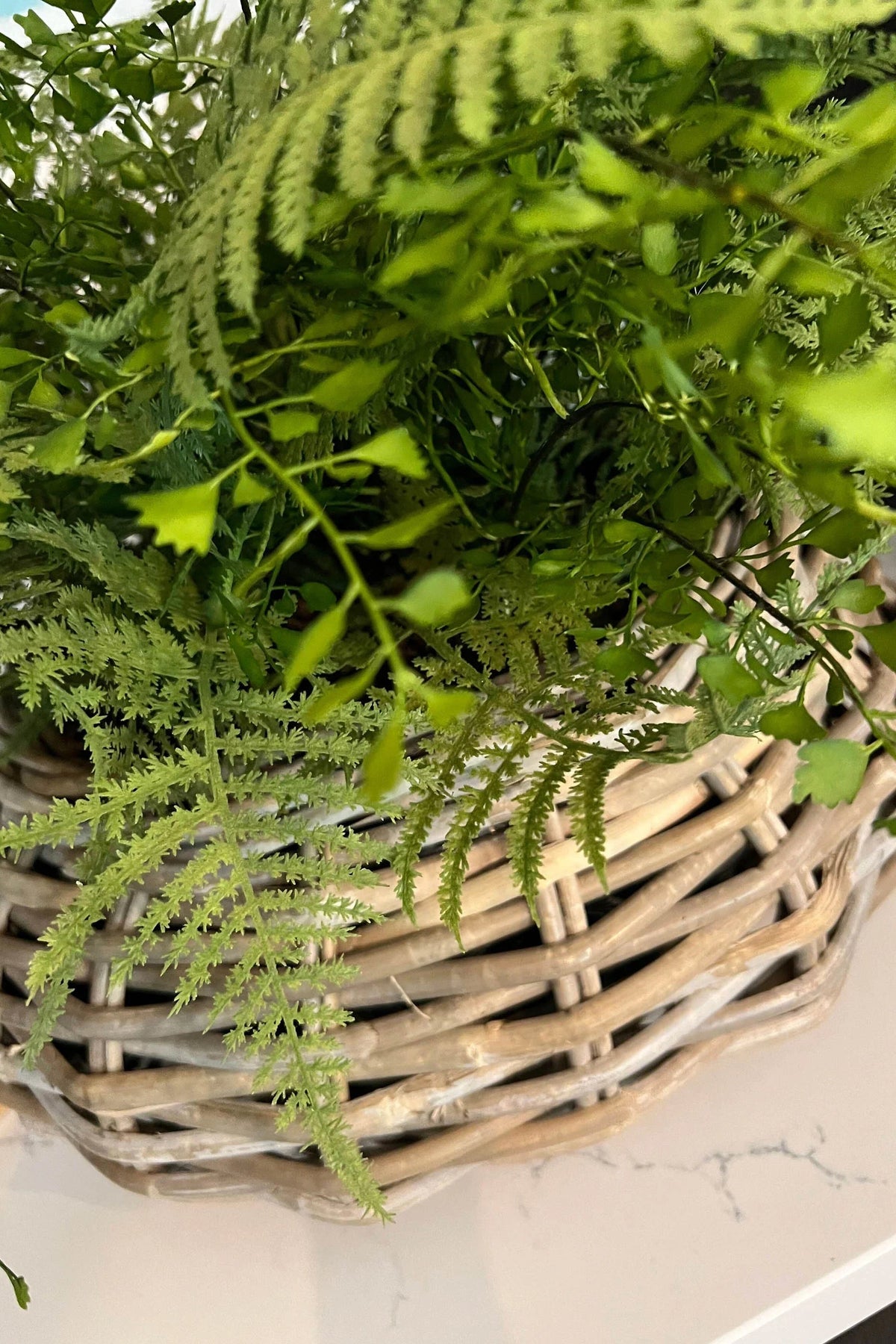 Lush Ferns in a Rustic Wicker Basket