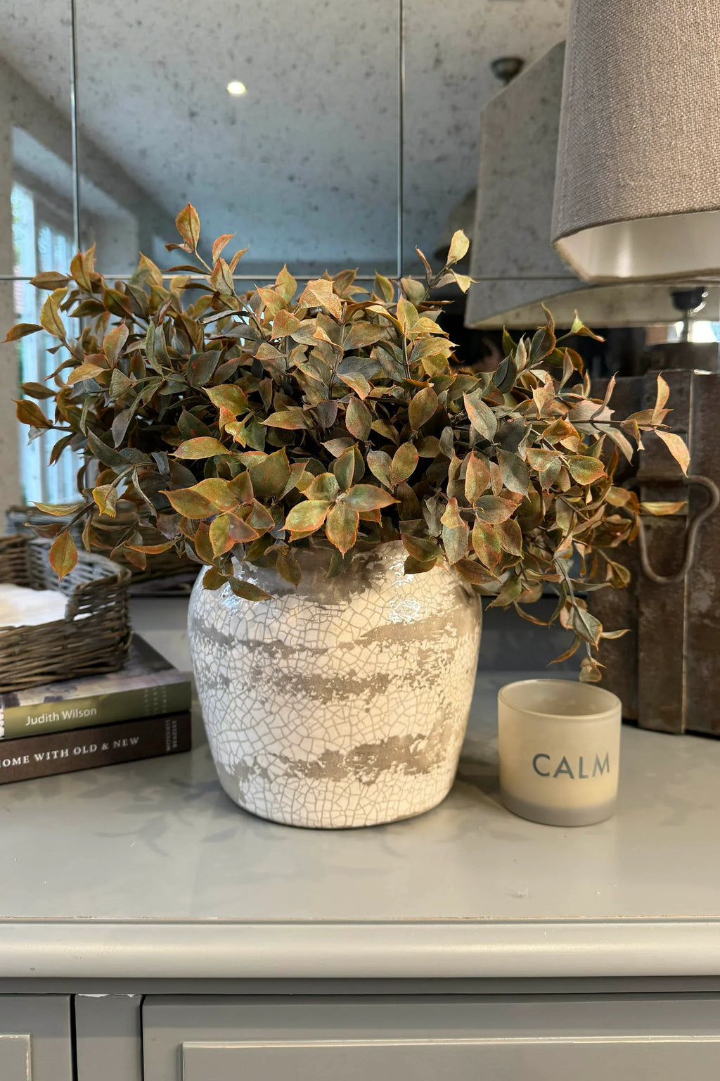 Lappa Bush in a Distressed Glazed Planter