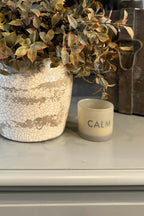 Lappa Bush in a Distressed Glazed Planter