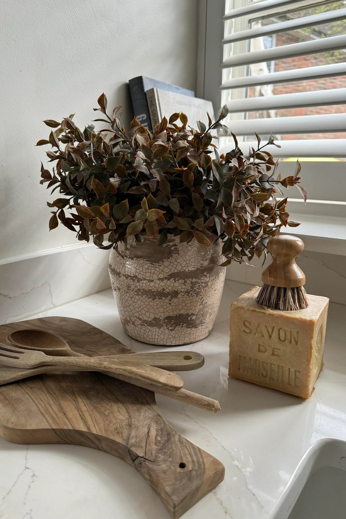 Lappa Bush in a Distressed Glazed Planter