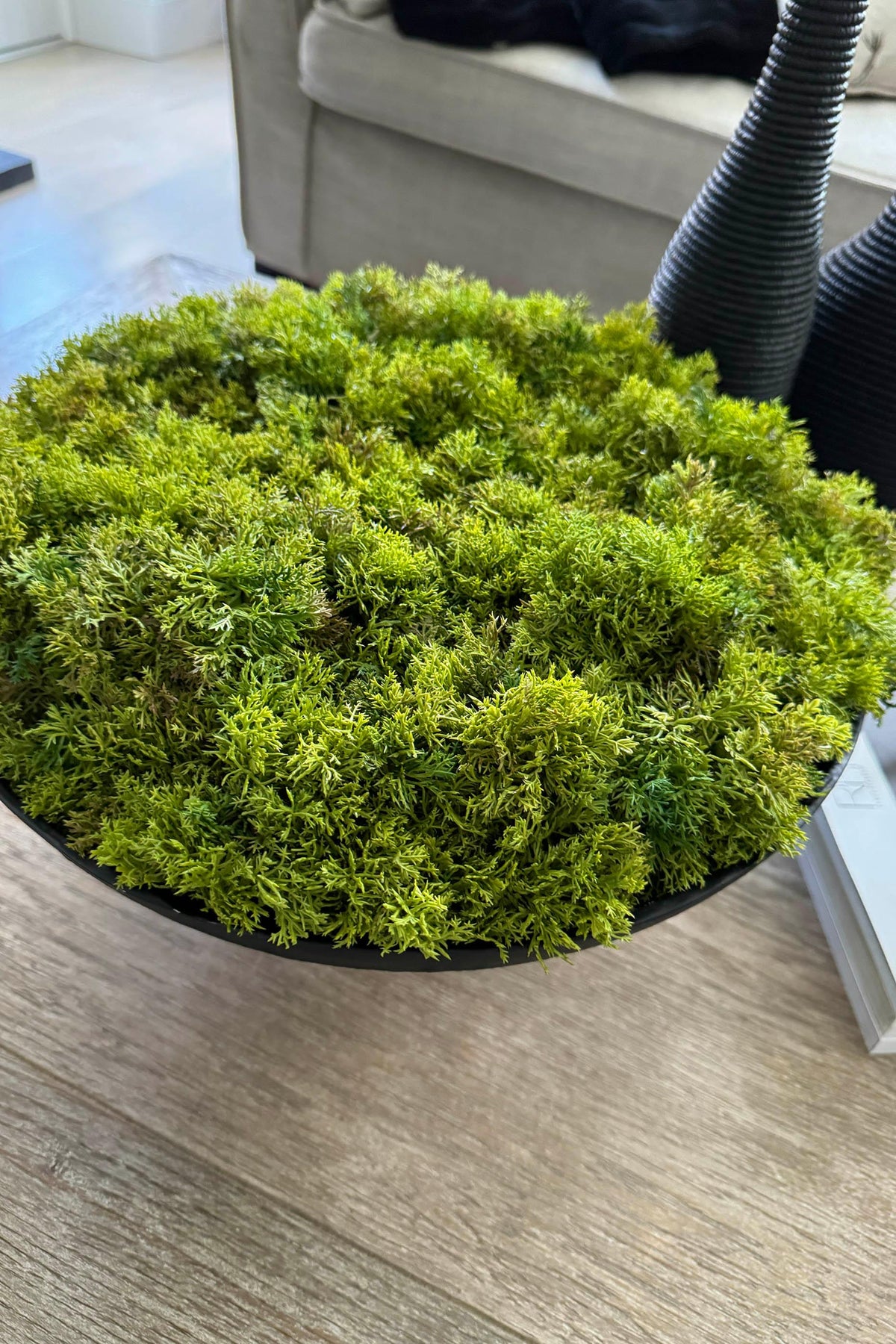 Curly Moss in Elegant Black Stone Bowl