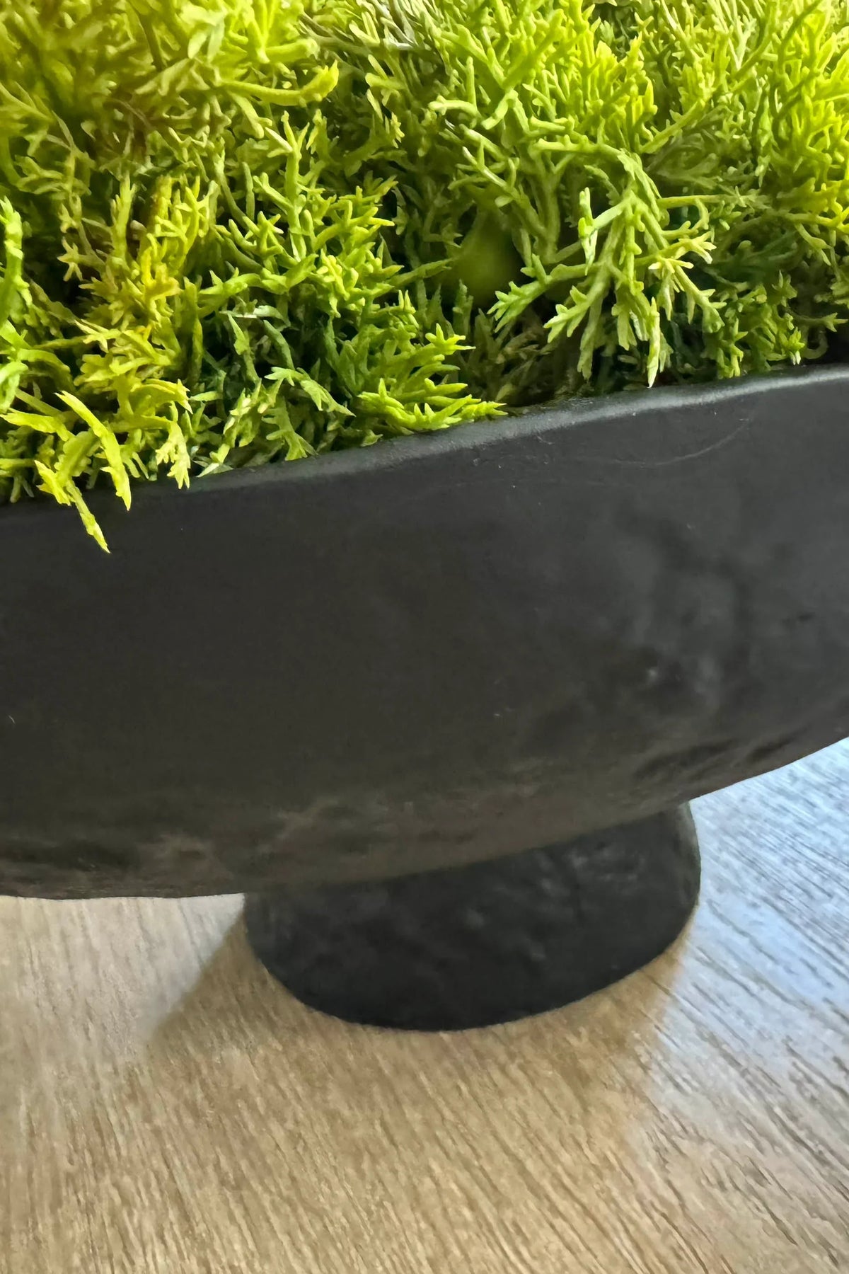 Curly Moss in Elegant Black Stone Bowl