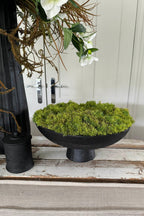 Curly Moss in Elegant Black Stone Bowl