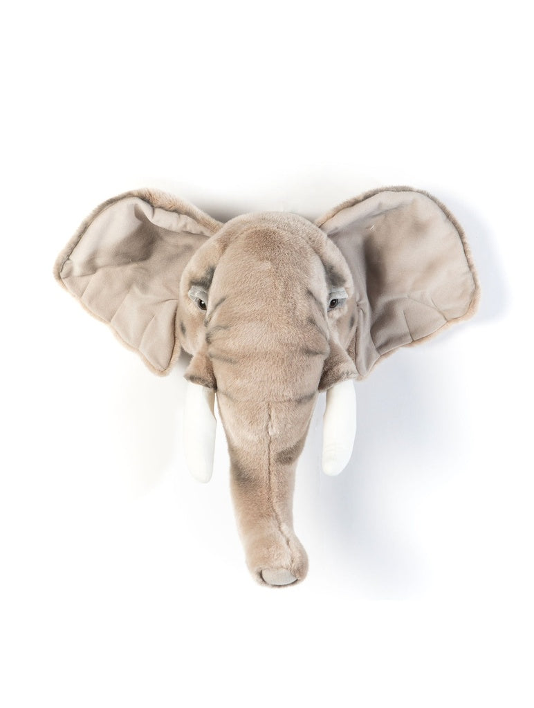 Head elephant George