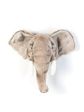 Head elephant George