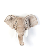Head elephant George
