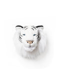 Head white tiger Albert