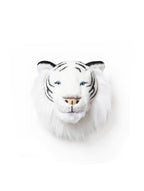 Head white tiger Albert