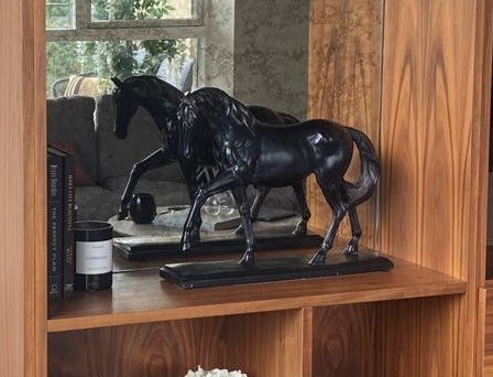 Black Horse On Base