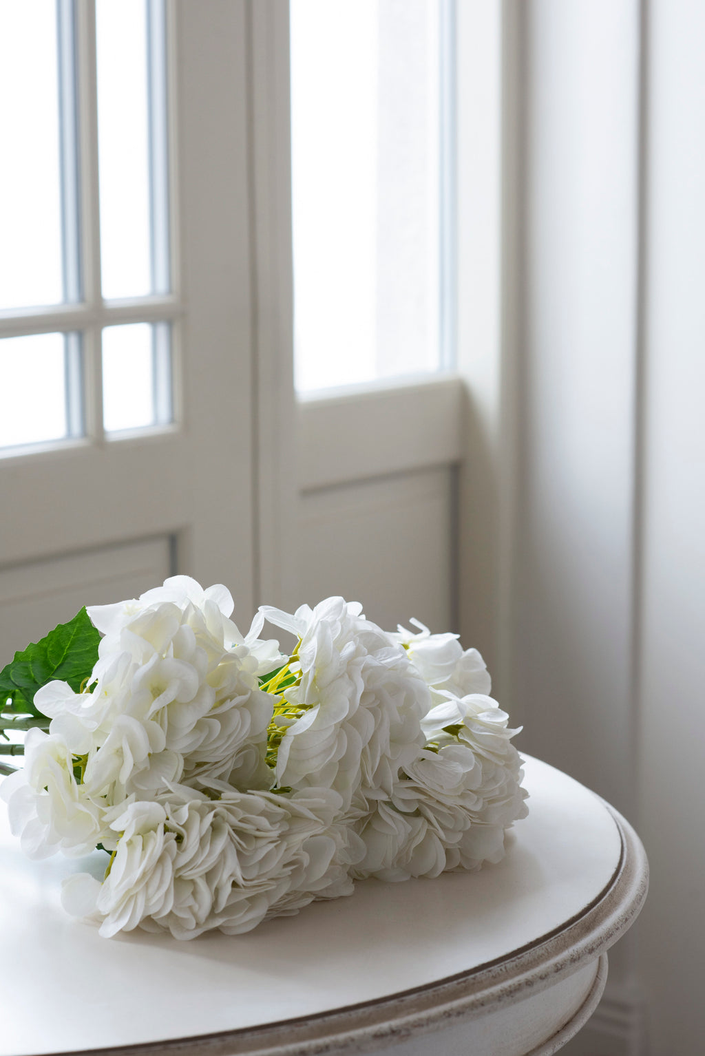Classic White Hydrangea