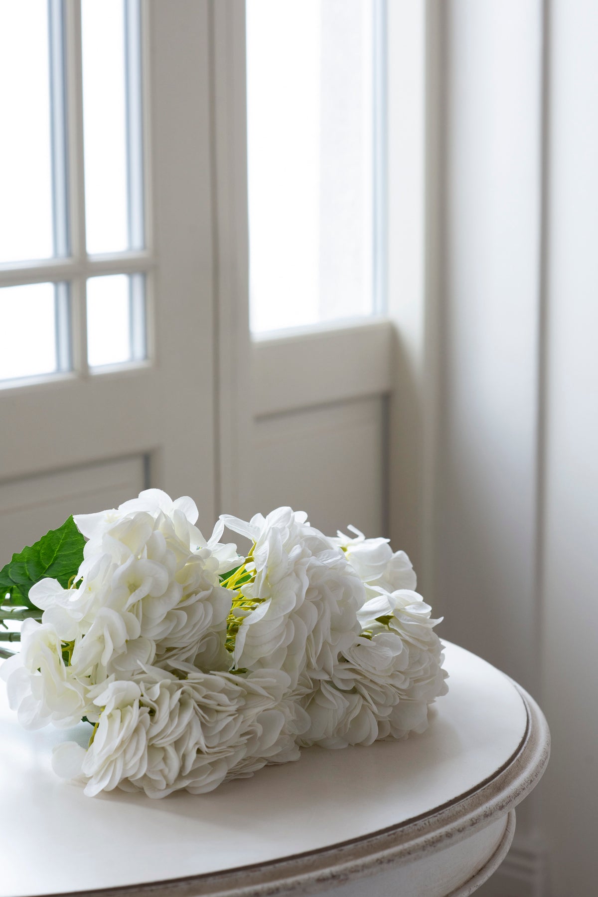 Classic White Hydrangea
