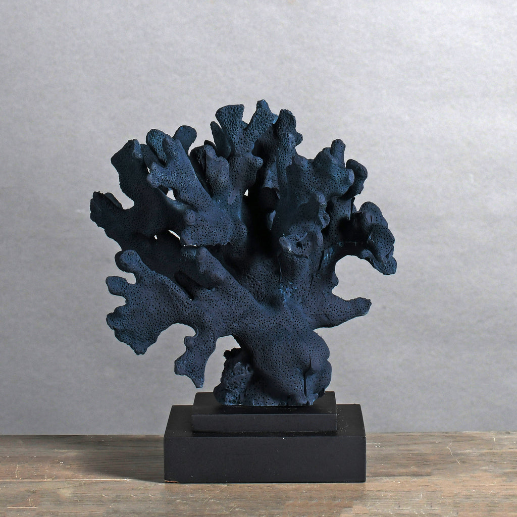Navy Coral