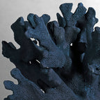 Navy Coral