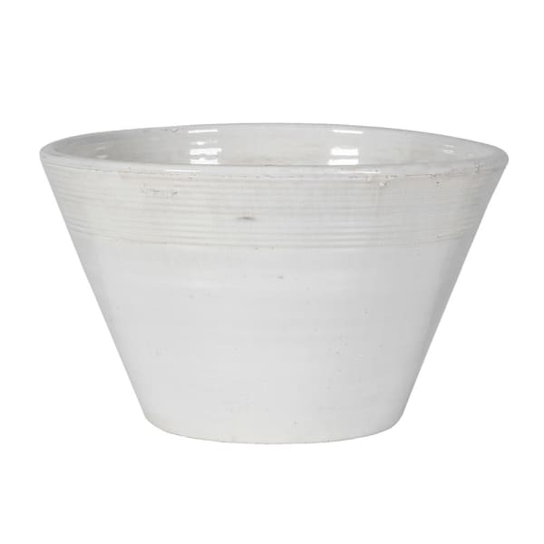 Salad Bowl