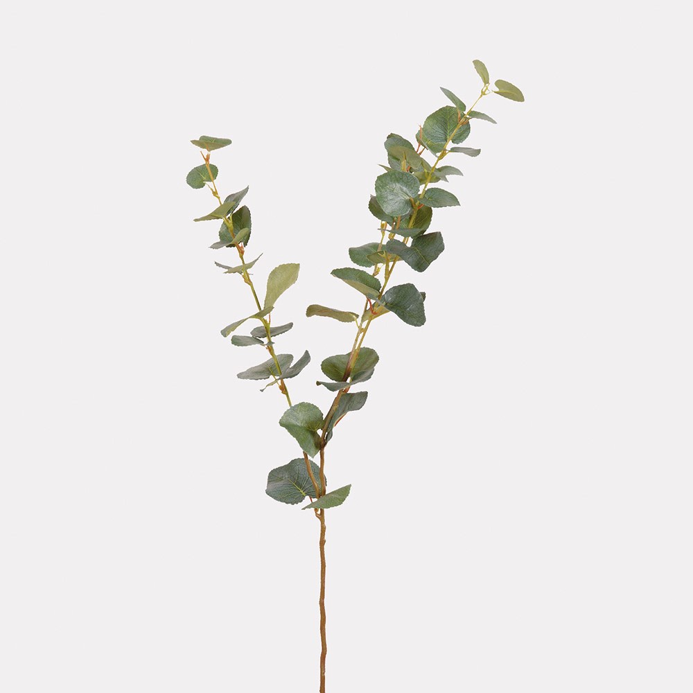 Fresh Natural Eucalyptus Spray
