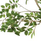 Faux plant detail
