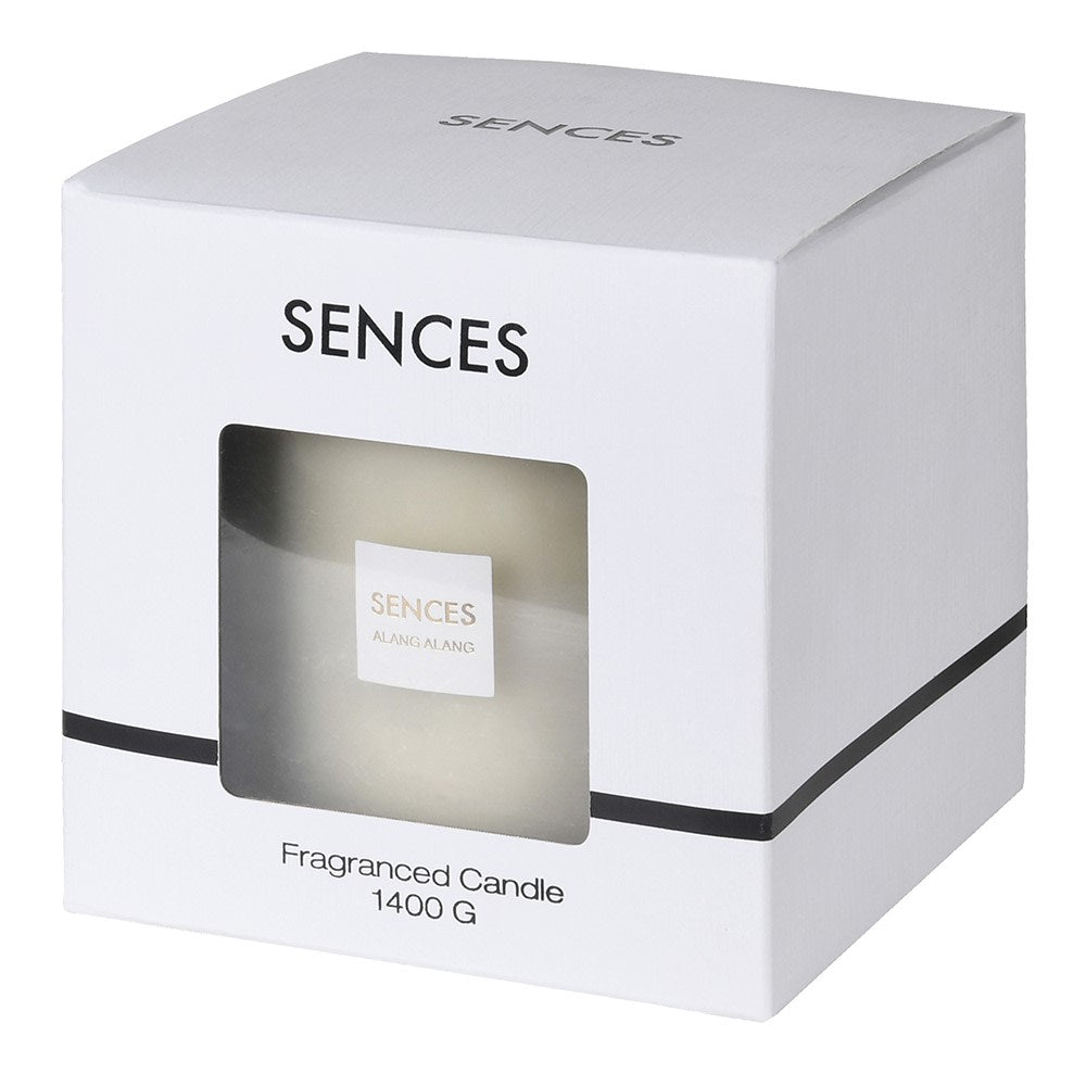 Reed diffuser boxed