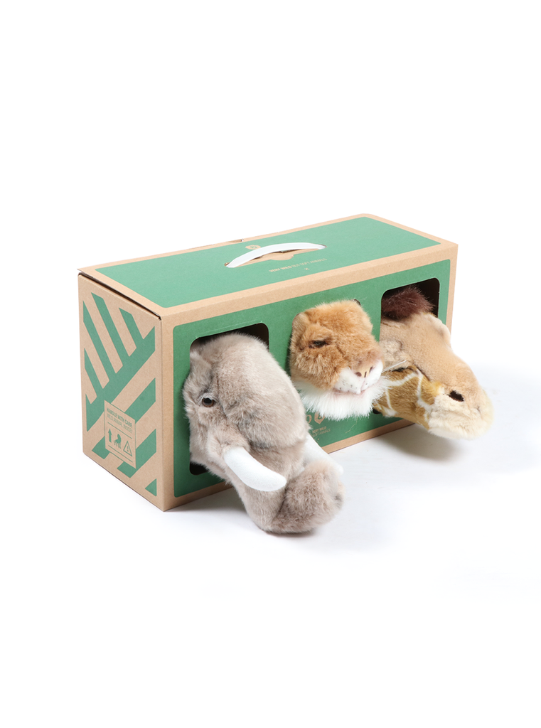 Safari box: set of 3 heads