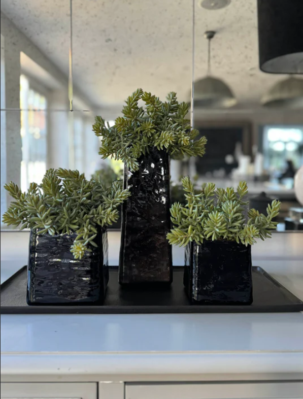 Spiked Succulents in Tapered Glass Planter