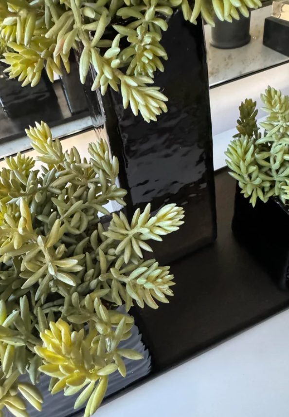 Spiked Succulents in Tapered Glass Planter