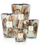 Baobab Candle Oceania Anangu
