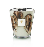 Baobab Candle Oceania Anangu