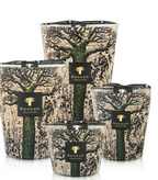 Baobab Candle Sacred Trees Kani