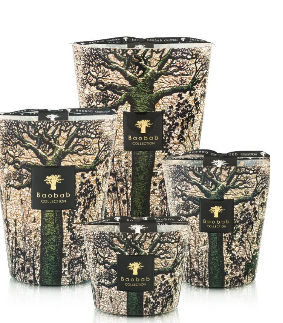 Baobab Candle Sacred Trees Kani