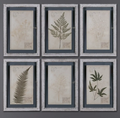 Set of 6 Pressed Botanical Prints – Beige