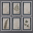 Set of 6 Pressed Botanical Prints – Beige