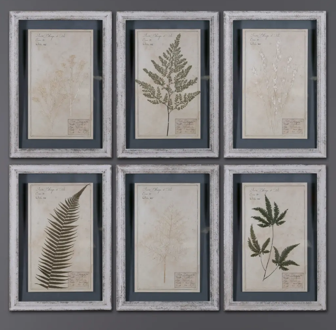Set of 6 Pressed Botanical Prints – Beige