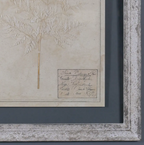 Set of 6 Pressed Botanical Prints – Beige