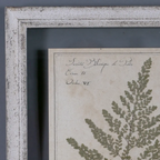 Set of 6 Pressed Botanical Prints – Beige
