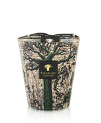 Baobab Candle Sacred Trees Kani