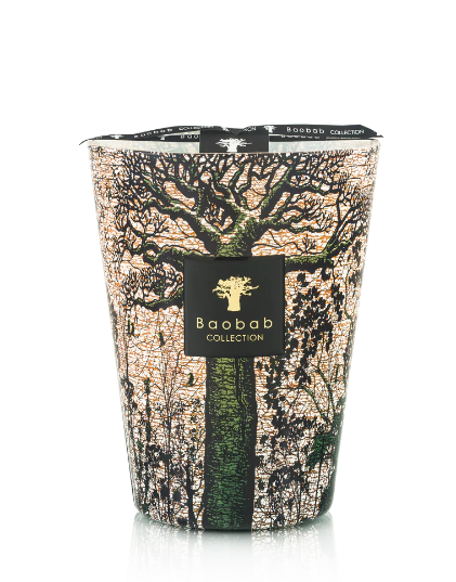 Baobab Candle Sacred Trees Kani