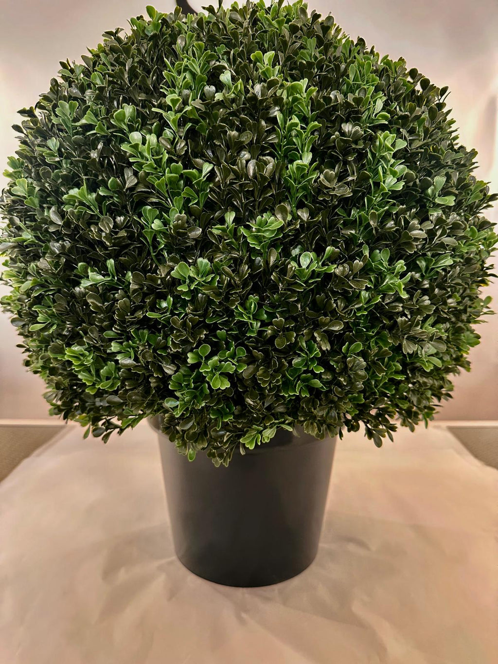 Green Outdoor Topiary