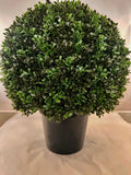 Green Outdoor Topiary