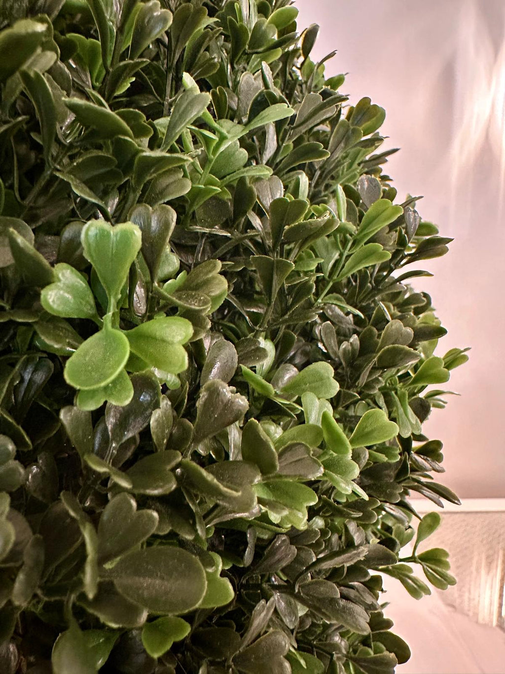 Green Outdoor Topiary