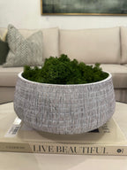 Bag of Decorative Faux Moss