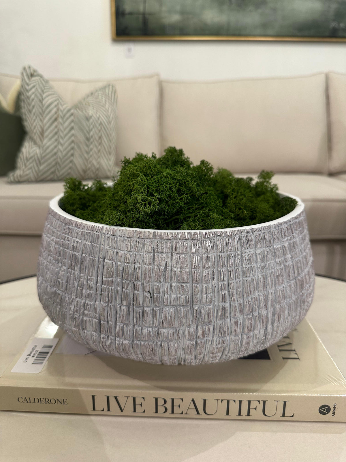 Bag of Decorative Faux Moss