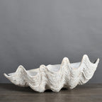 White Large Tricnada Clam