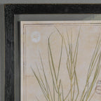 Black Herbarium Frames from France (Set of 6)