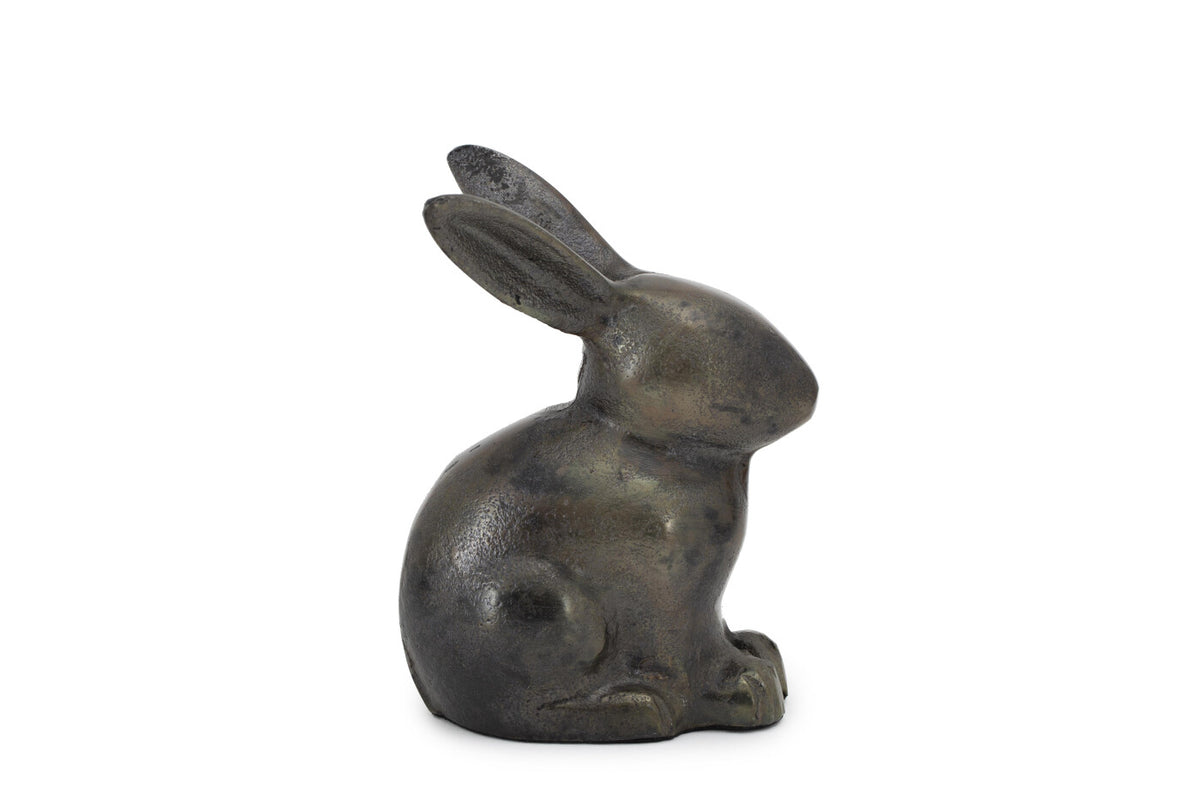 Finn Rabbit