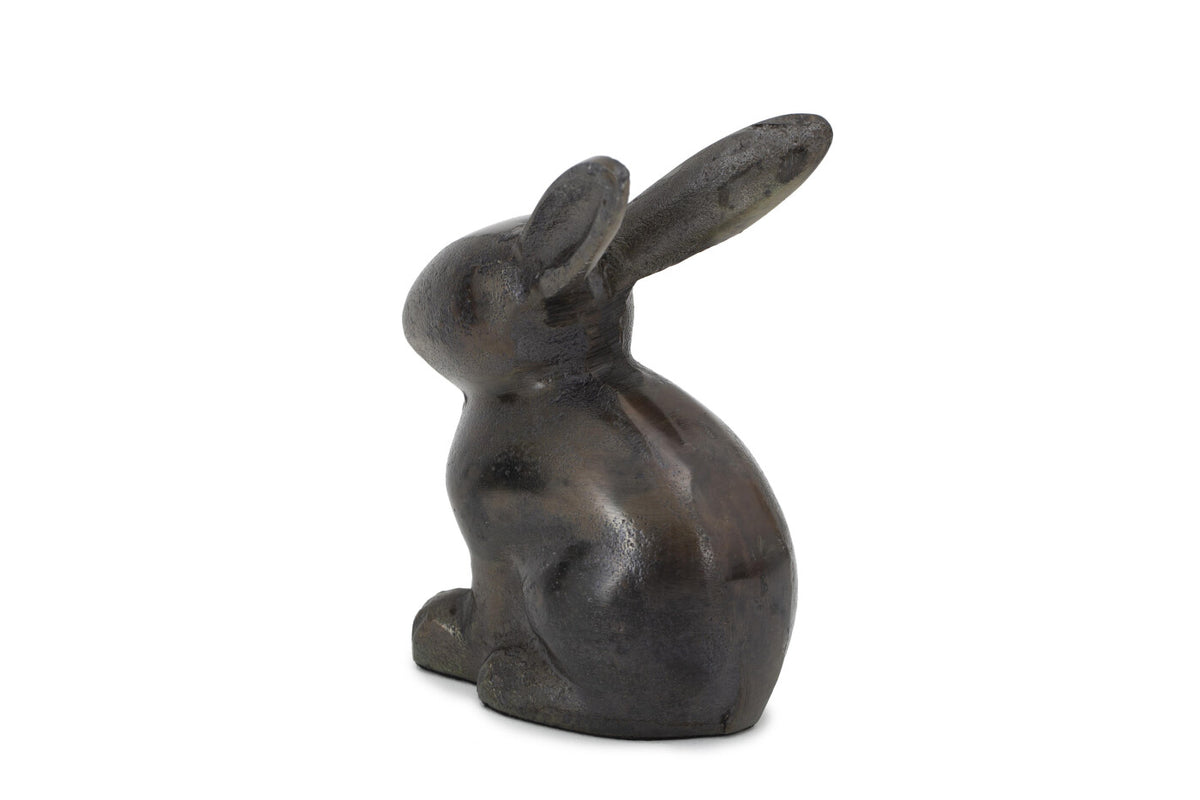 Finn Rabbit