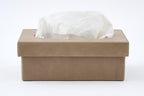 Tuscon tissue box