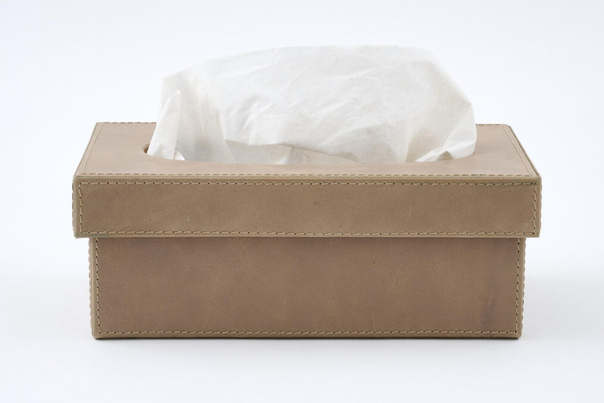 Tuscon tissue box